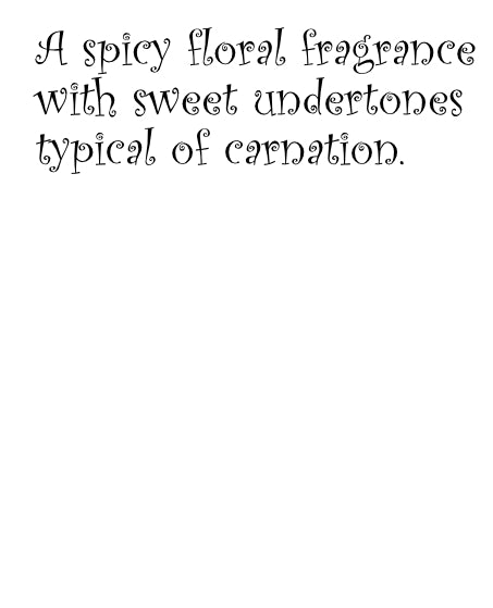 Chertsey Carnation