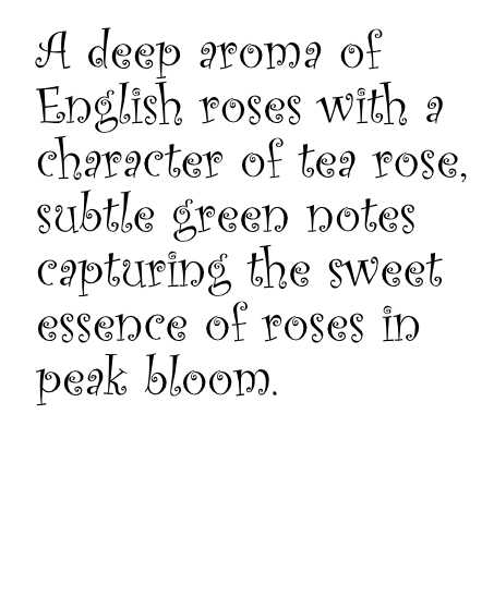 Purbeck Rose
